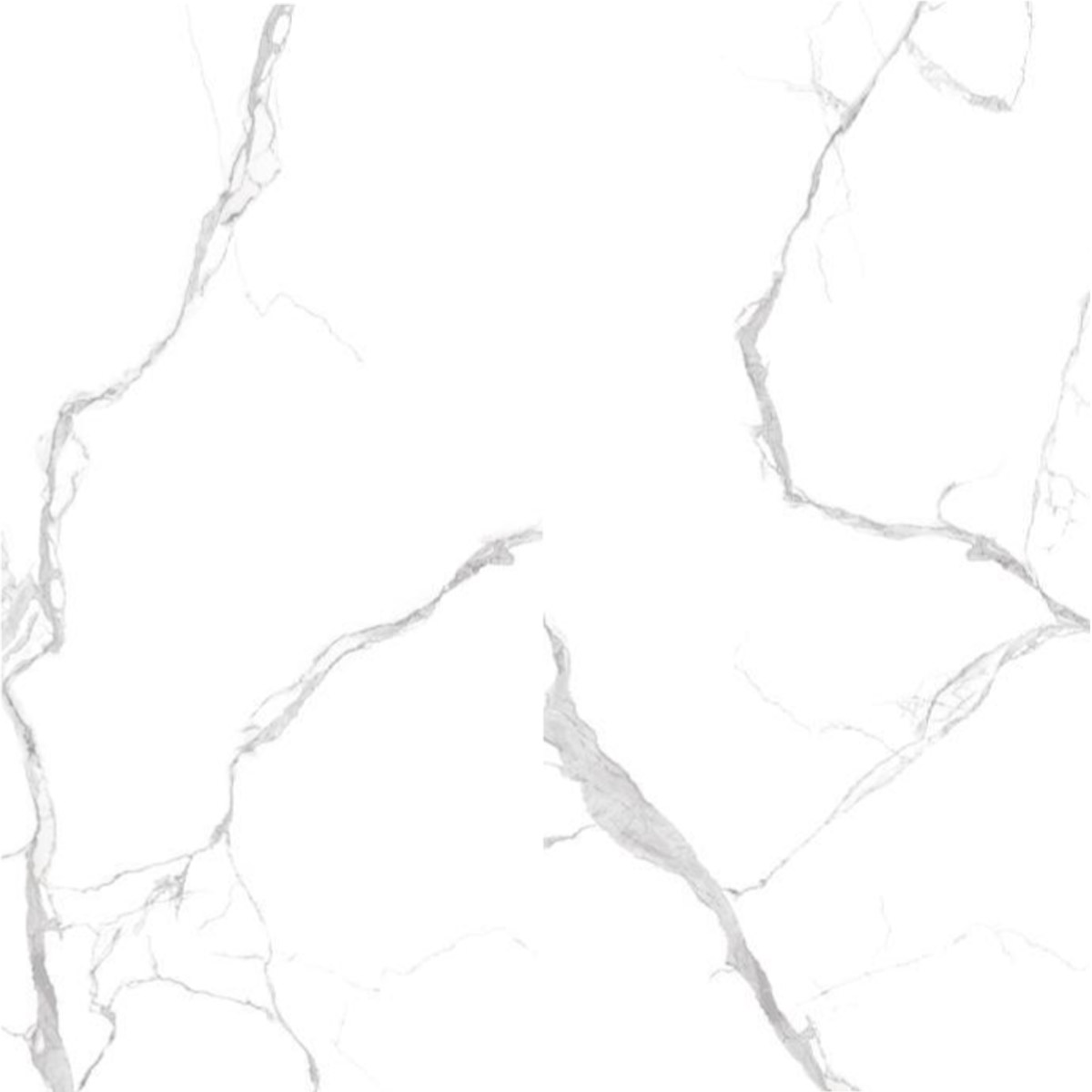 Carrara White Exclusive